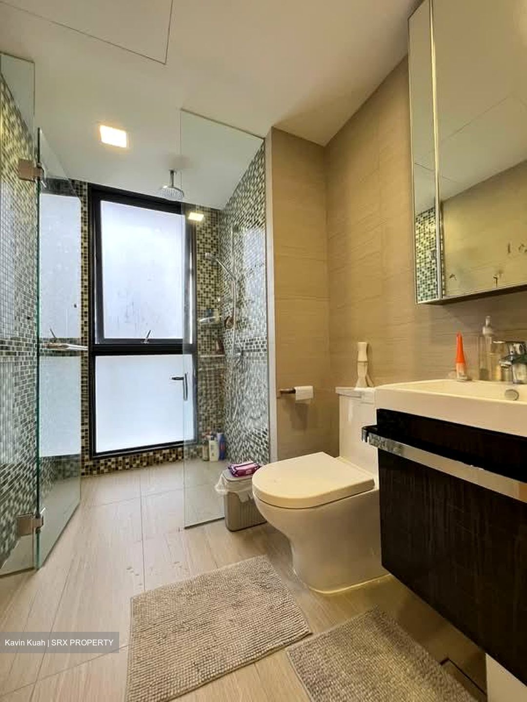 Sant Ritz (D13), Condominium #589267981